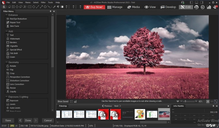 ACDSee Photo Studio Professional 2023 2