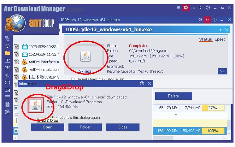 Ant Download Manager 3