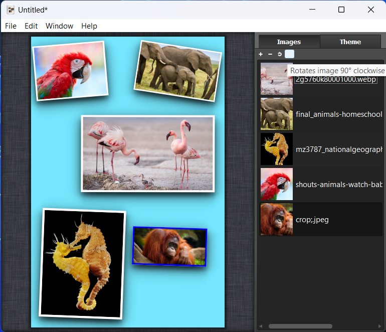 Collagerator 3