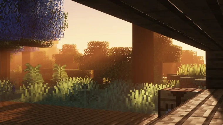 Iris Shaders 2