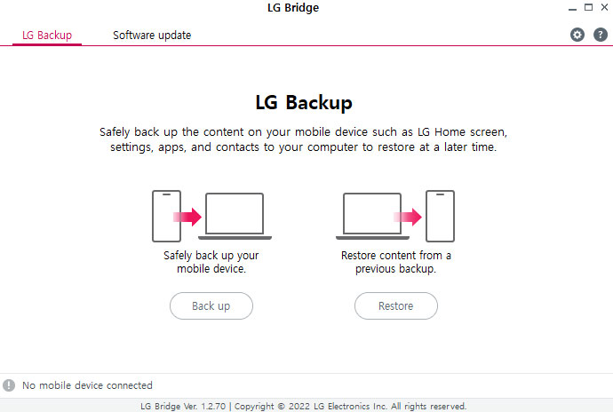 LG Bridge 1