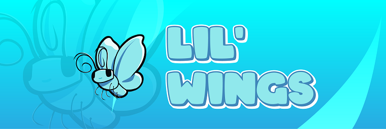 Lil’ Wings – Minecraft Mod 1