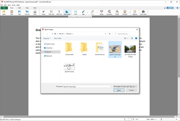 PicoPDF PDF Editor 1