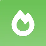 Sodium Mod Icon