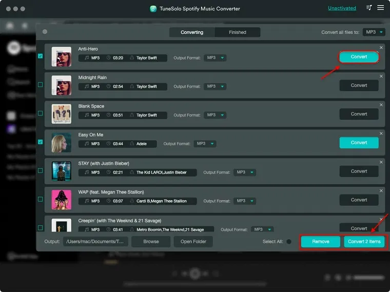 Tunesolo Spotify Music Converter 4