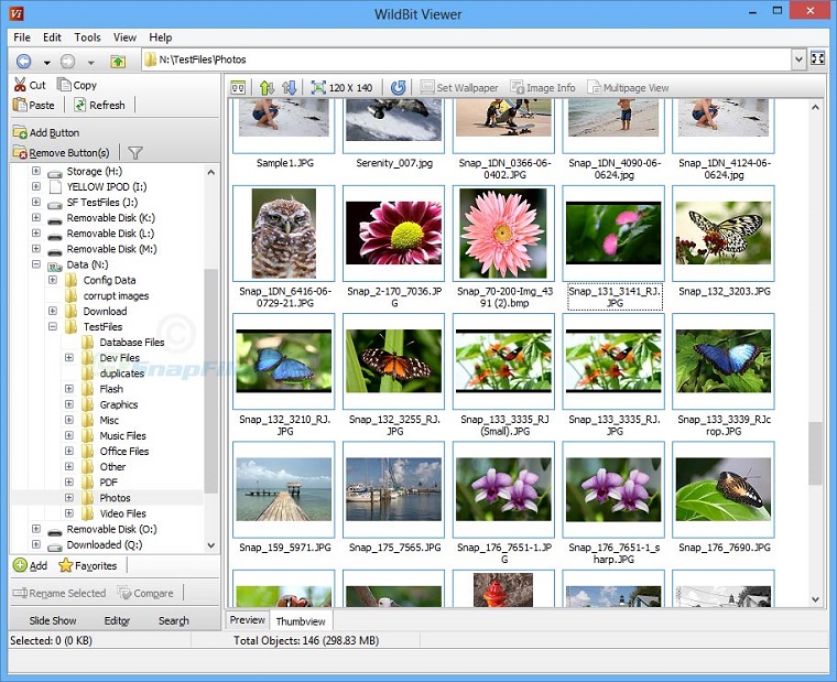 WildBit Viewer 1