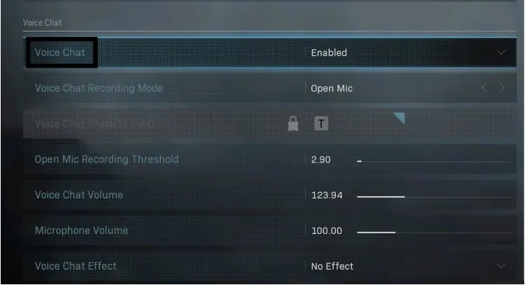 Warzone Voice Chat Enabled