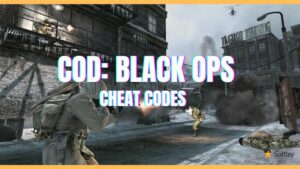 Call of Duty Black Ops Cheats For PC & PS3
