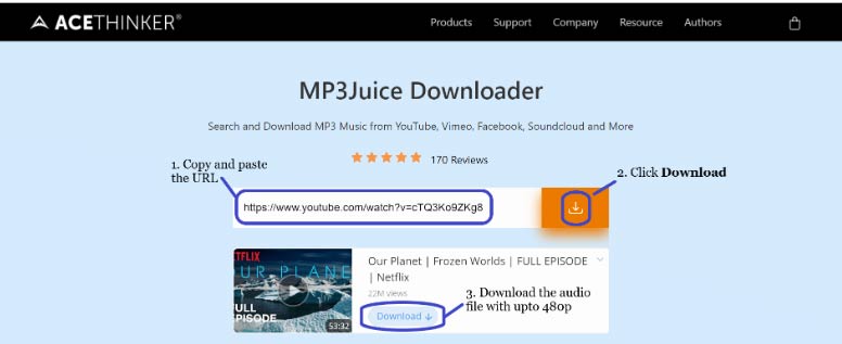 AceThinker MP3 Juice Downloader for Windows