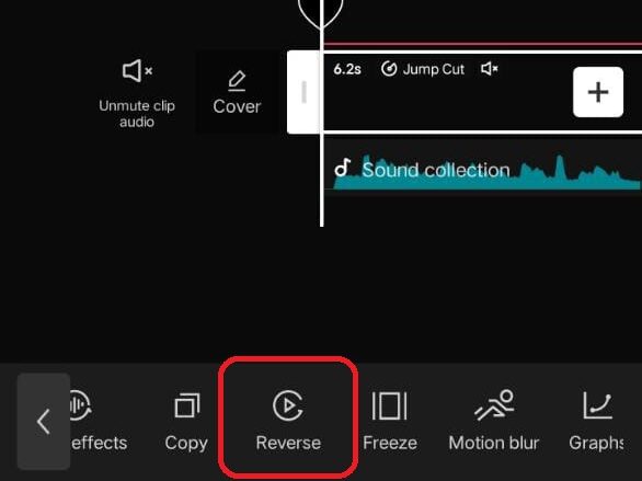 Reverse a clip on capcut 2025